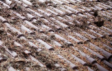 Haven Bank roof cleaning companies